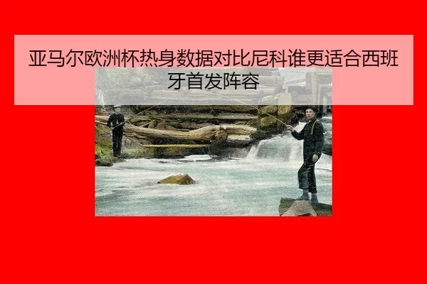 亚马尔欧洲杯热身数据对比尼科谁更适合西班牙首发阵容